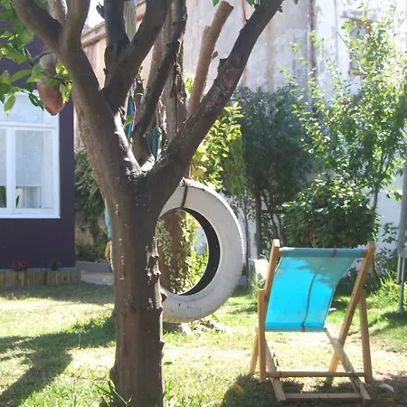 Art Nouveu House With Backyard Apartment