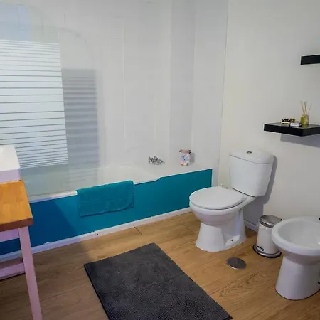 Apartment Art Nouveu House With Backyard Aveiro