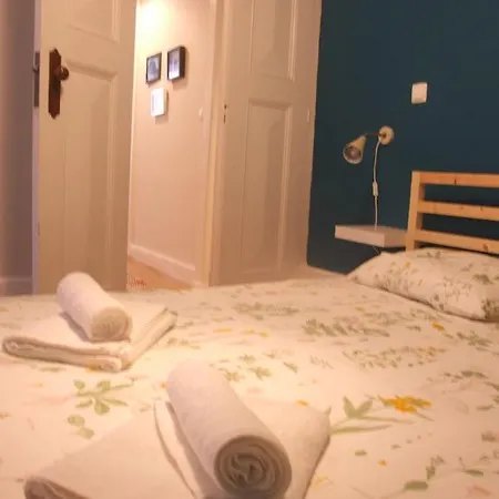 Art Nouveu House With Backyard * Aveiro